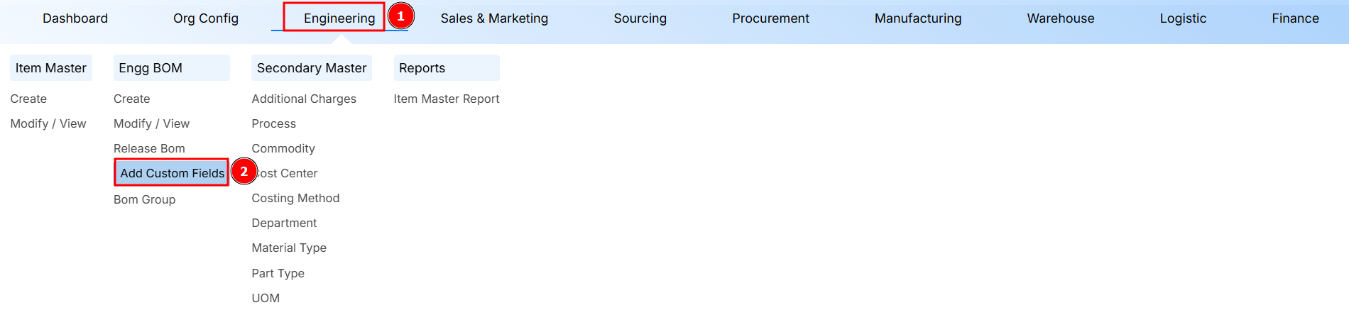 STEPS FOR CUSTOM FIELDS